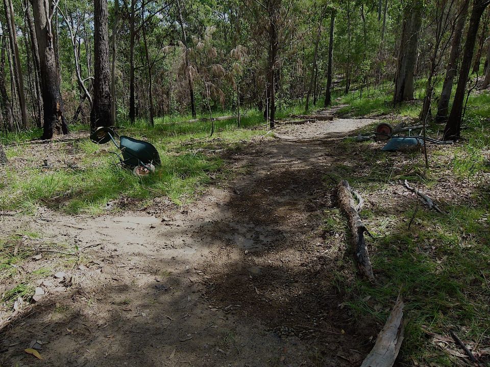P1160332.jpg